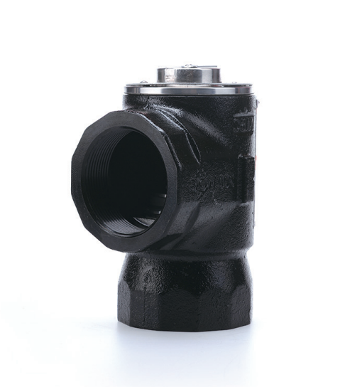 M910 Anti-Siphon Valve