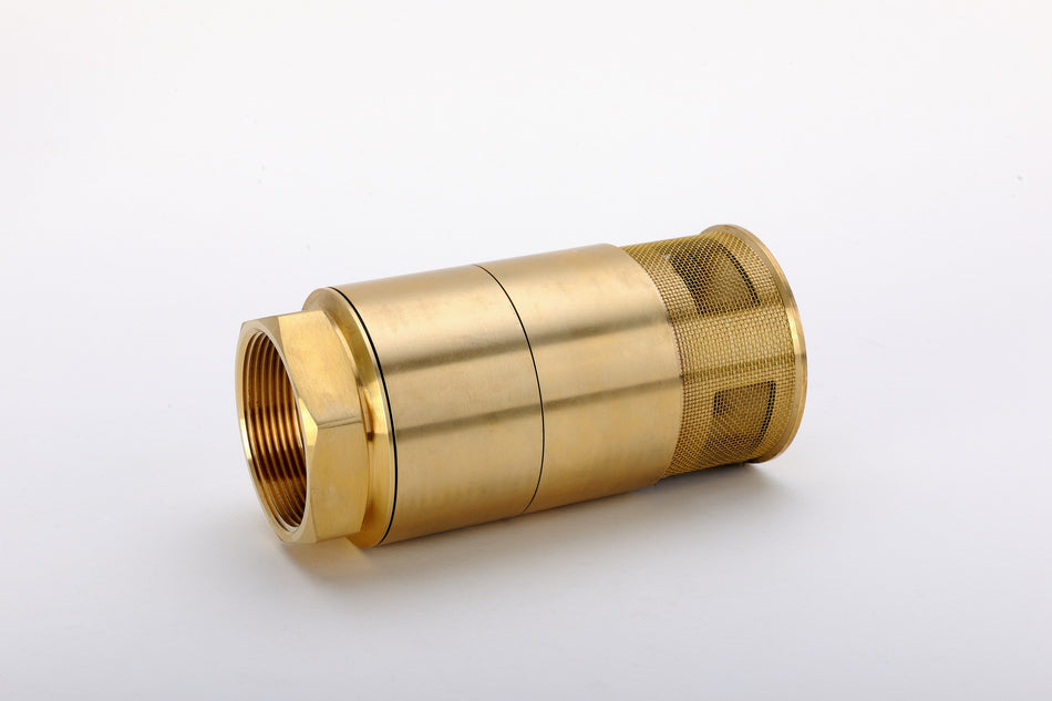 SV Series Foot Valve
