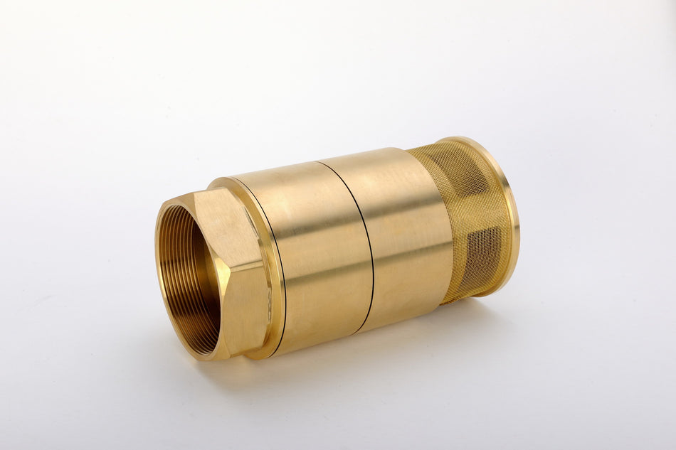 SV Series Foot Valve